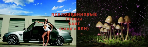 прущая мука Пестово