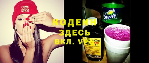 амф Пересвет
