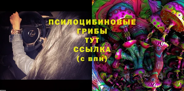 ПСИЛОЦИБИНОВЫЕ ГРИБЫ Переславль-Залесский