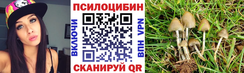 что такое   Костомукша  гидра онион  Галлюциногенные грибы Psilocybine cubensis 